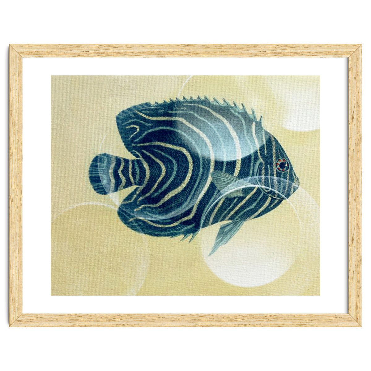 Fish Between Circles