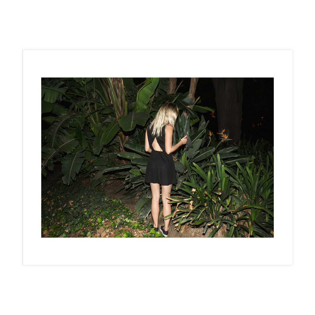 Hiding Game (Print Only)