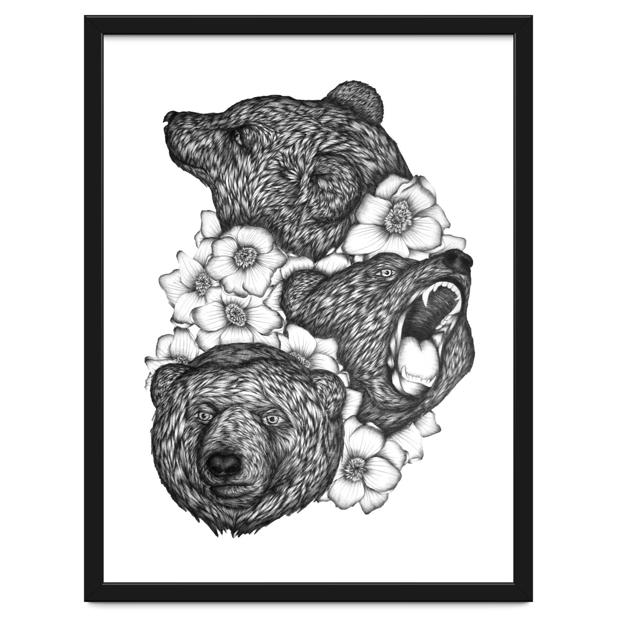 Bears In Bears