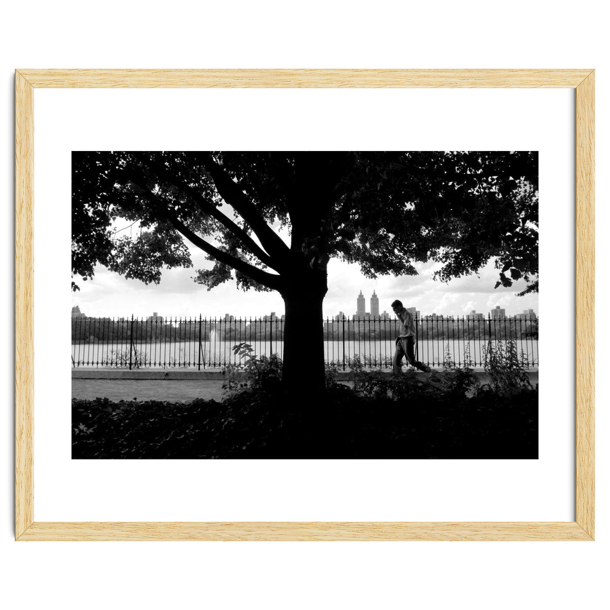 Central Park, New York City