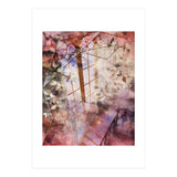 Morning (Print Only) thumbnail