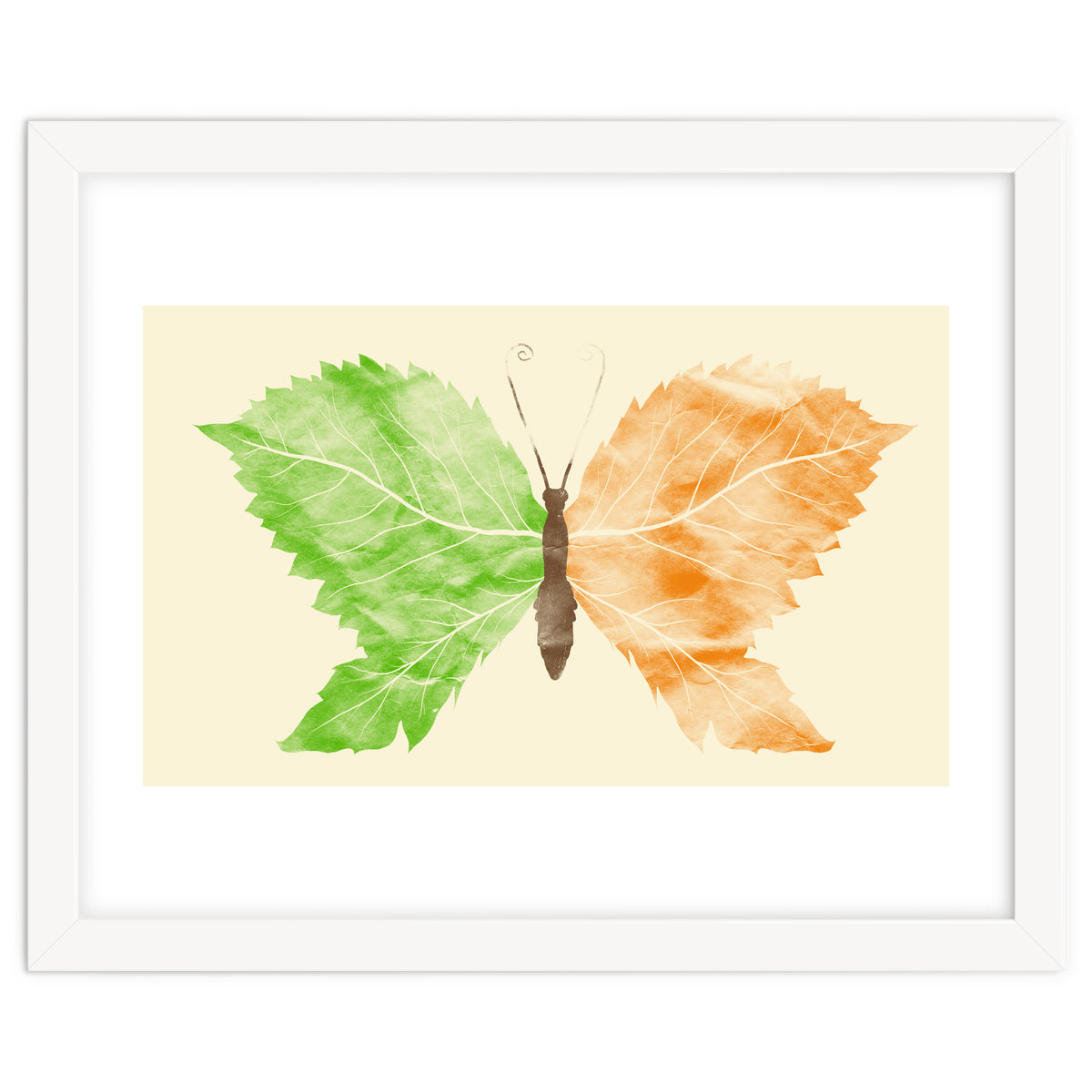 Seasons Change Time Flies