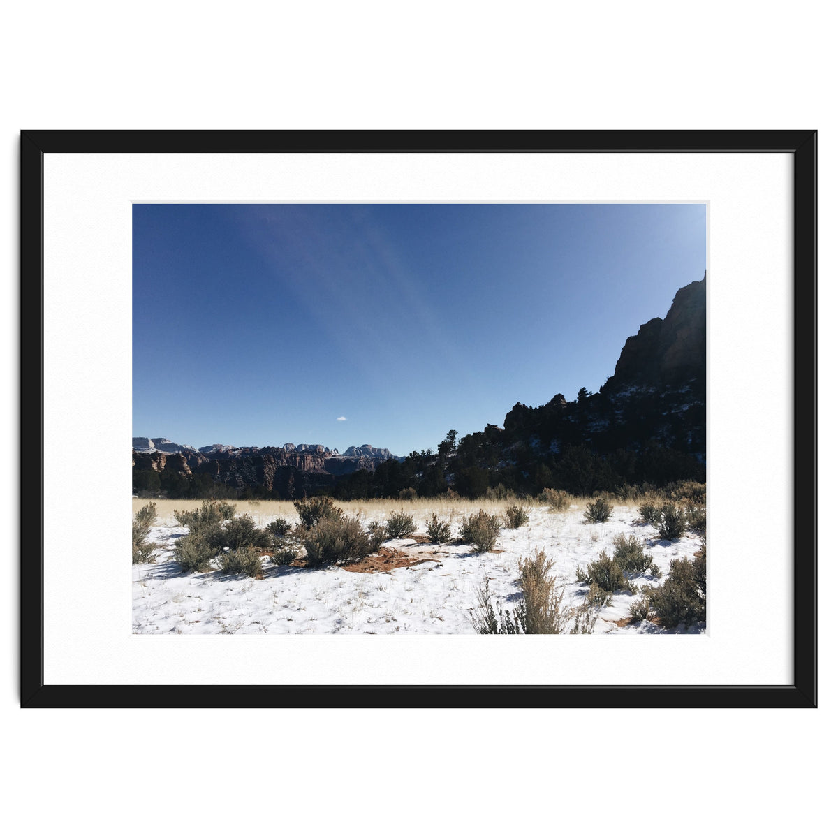 Zion National Park II