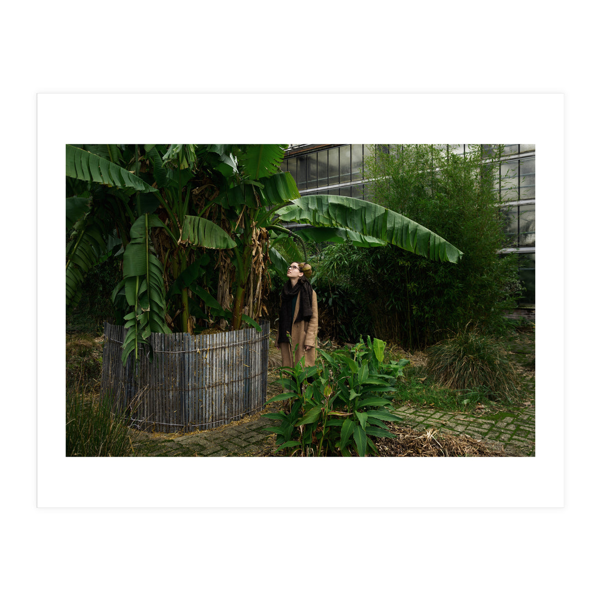 Transition from Summer to Winter (Print Only)