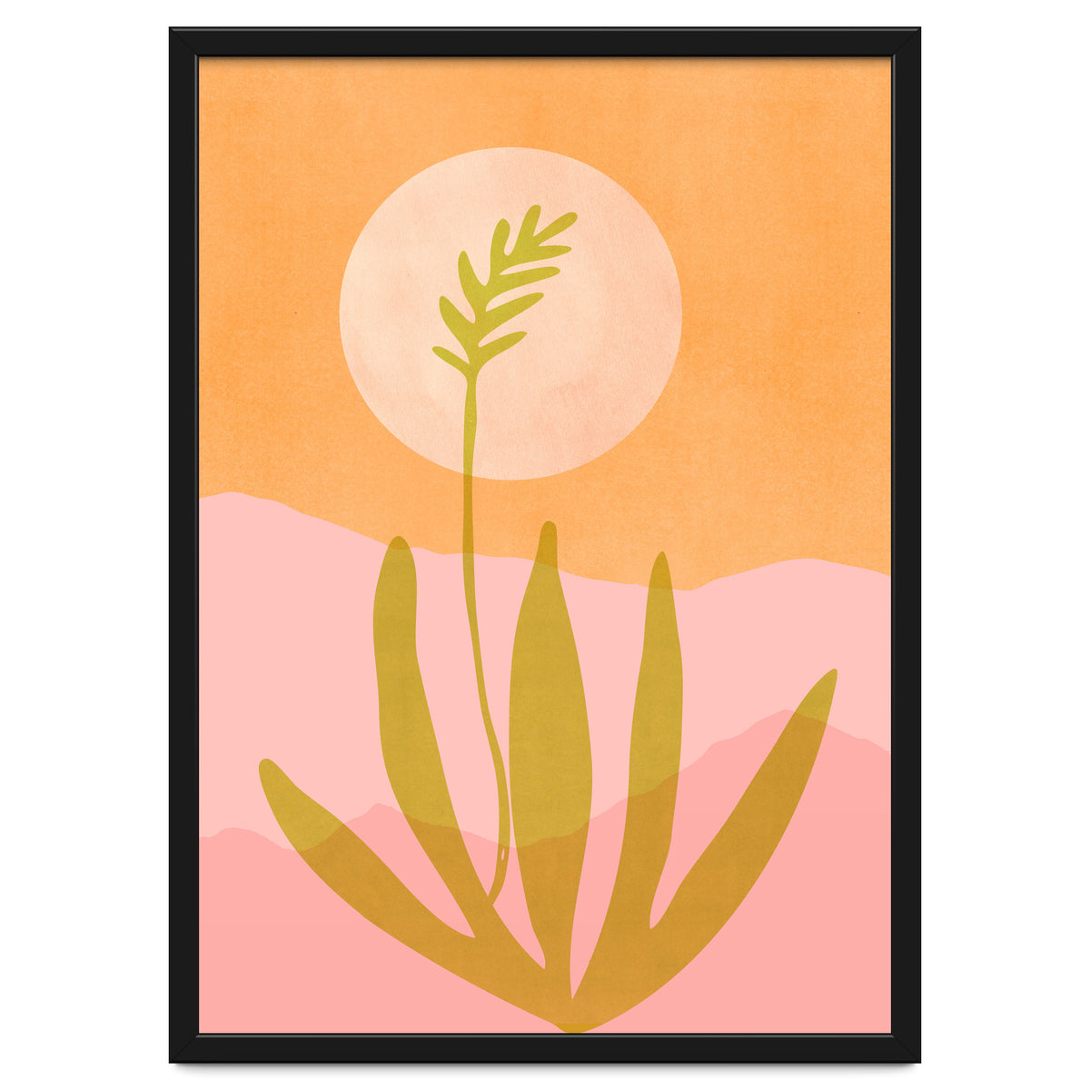 Desert Moon With Agave