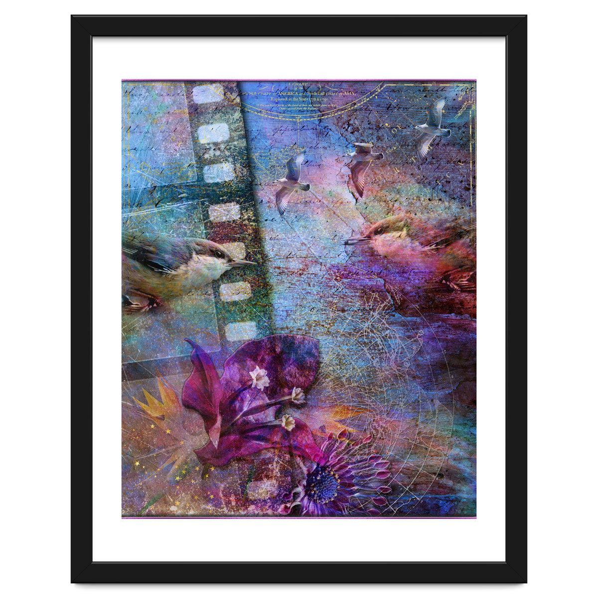 Watching the Wild World