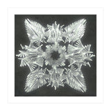 A Winged Debacle (Print Only) thumbnail