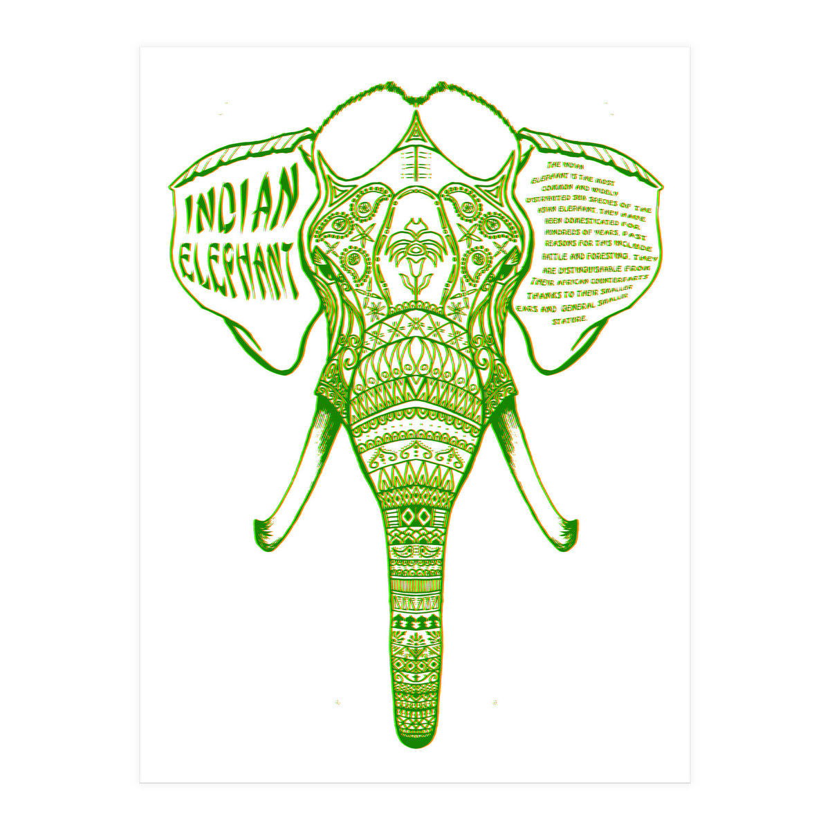 Indian Elephant (Print Only)