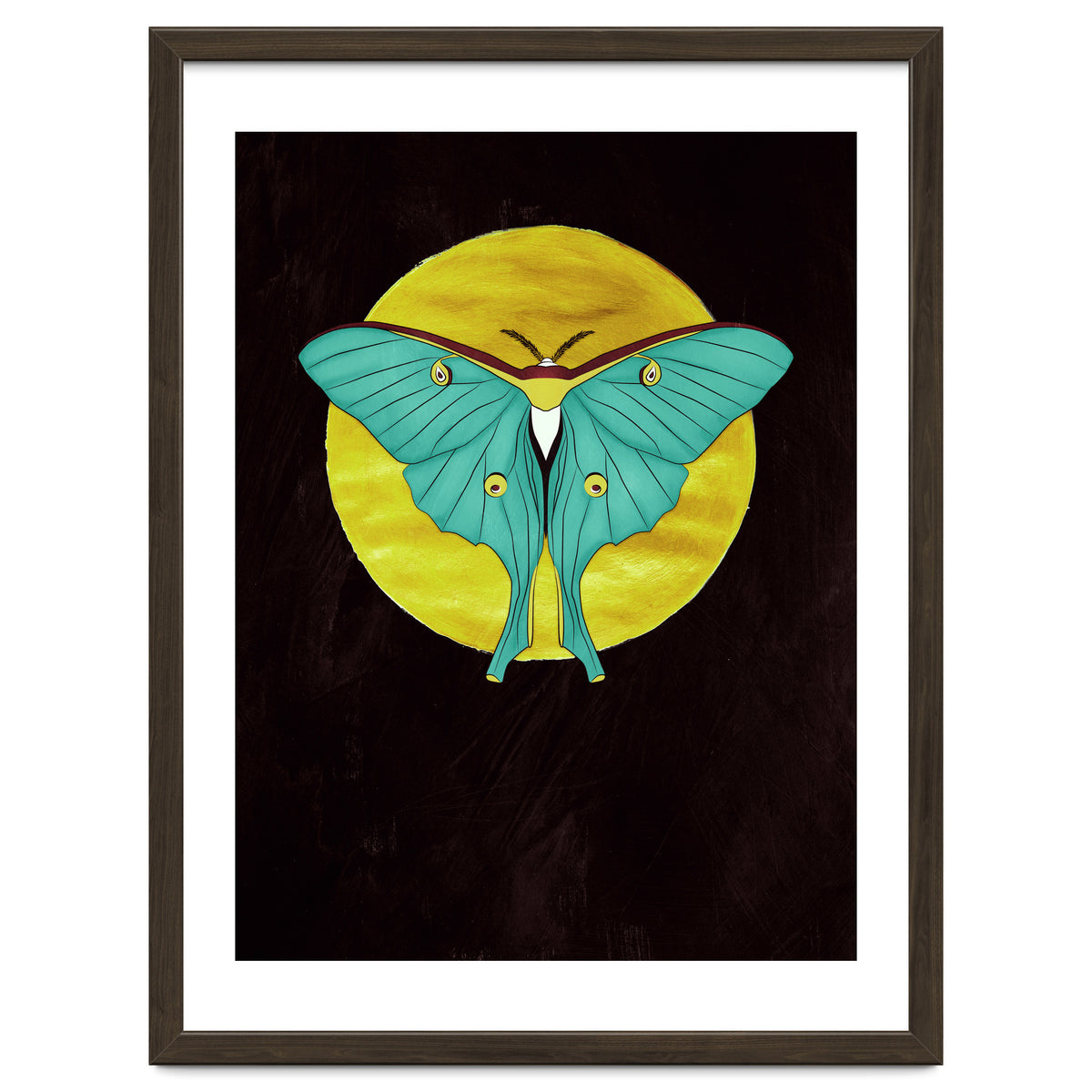 Luna Moth Moon