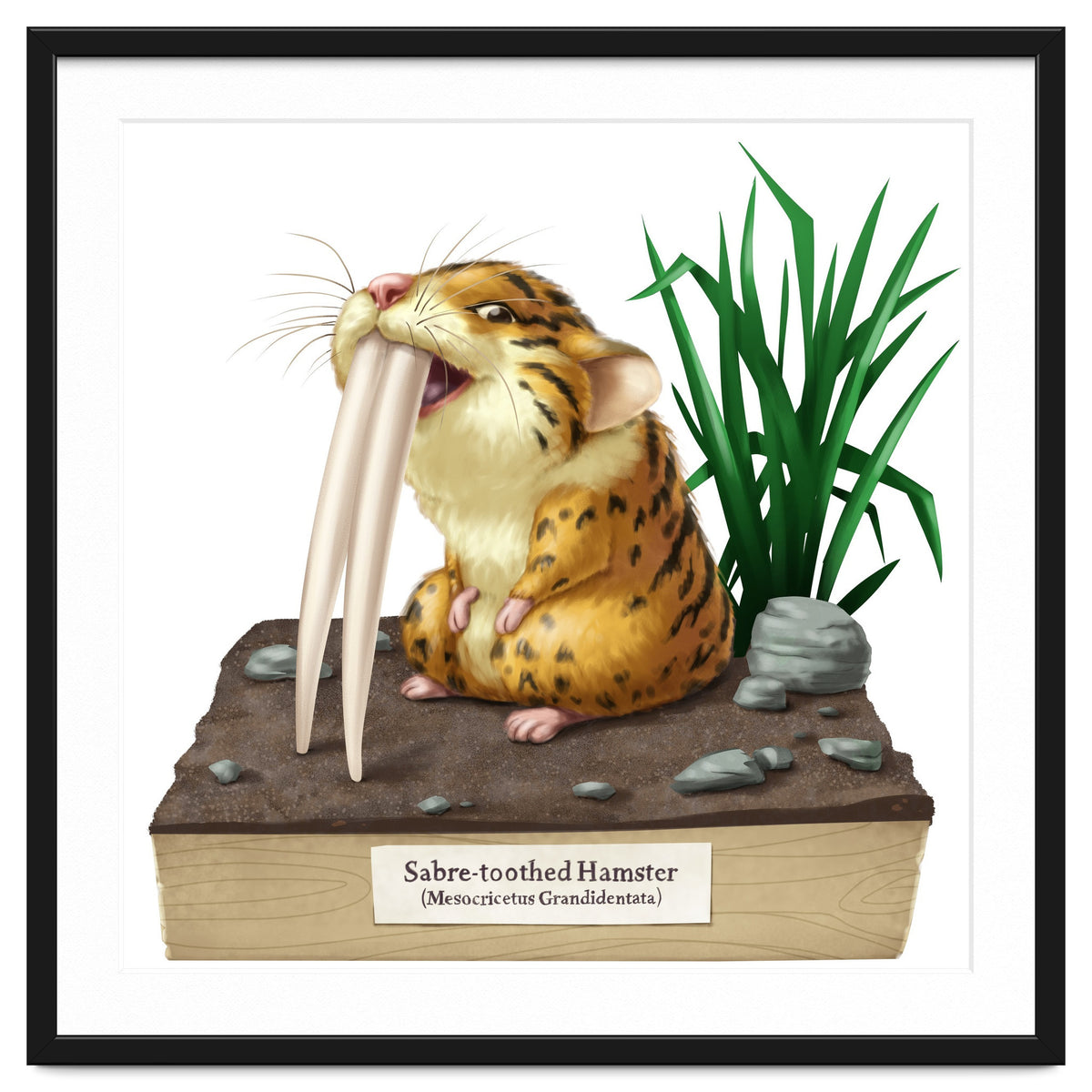 Saber-toothed Hamster