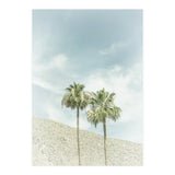 Palm Trees in the desert | Vintage (Print Only) thumbnail