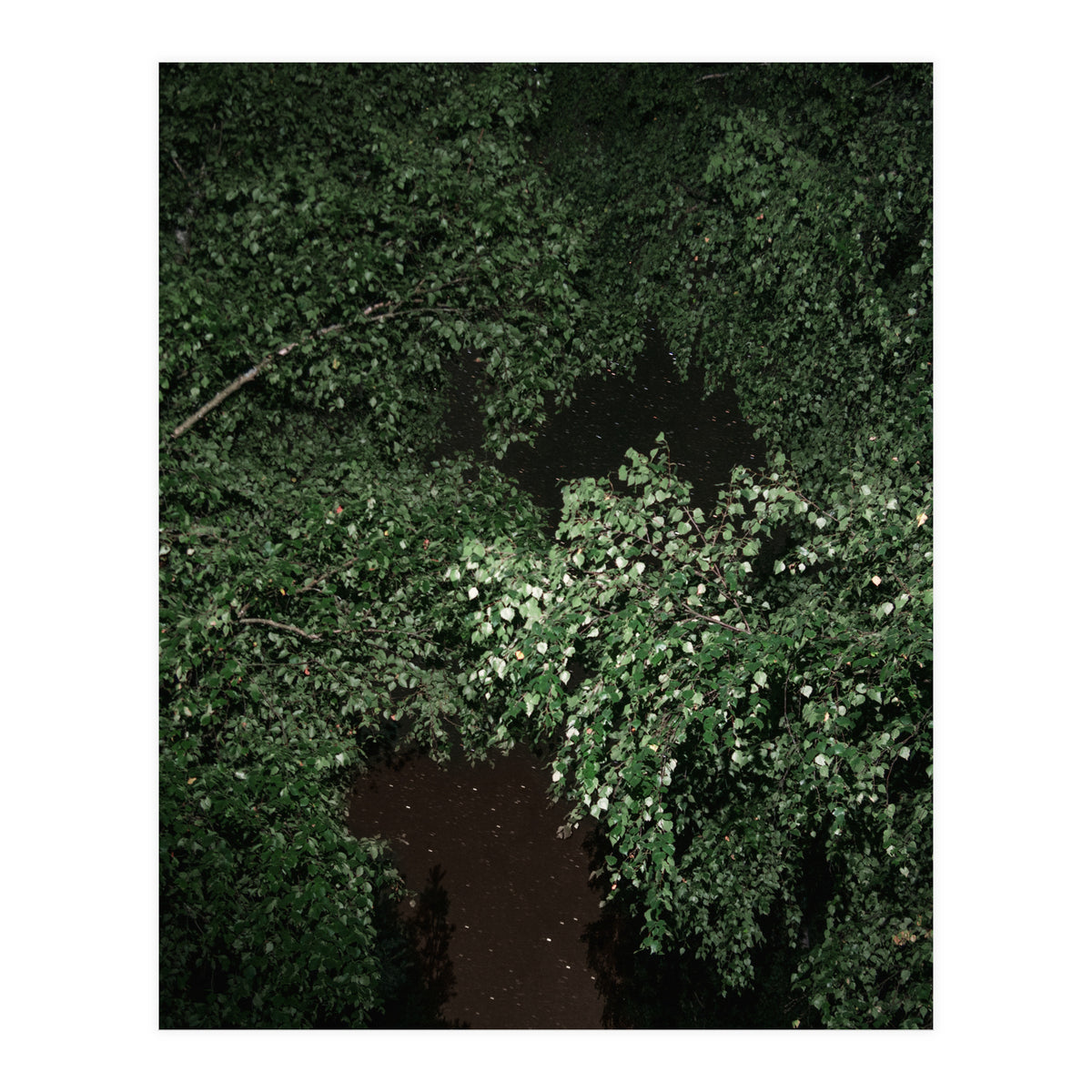 Greenscape (Print Only)