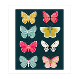 Lepidoptery Study No. 2 (Print Only) thumbnail