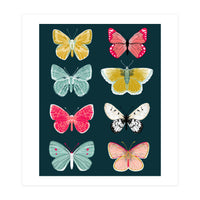 Lepidoptery Study No. 2 (Print Only)