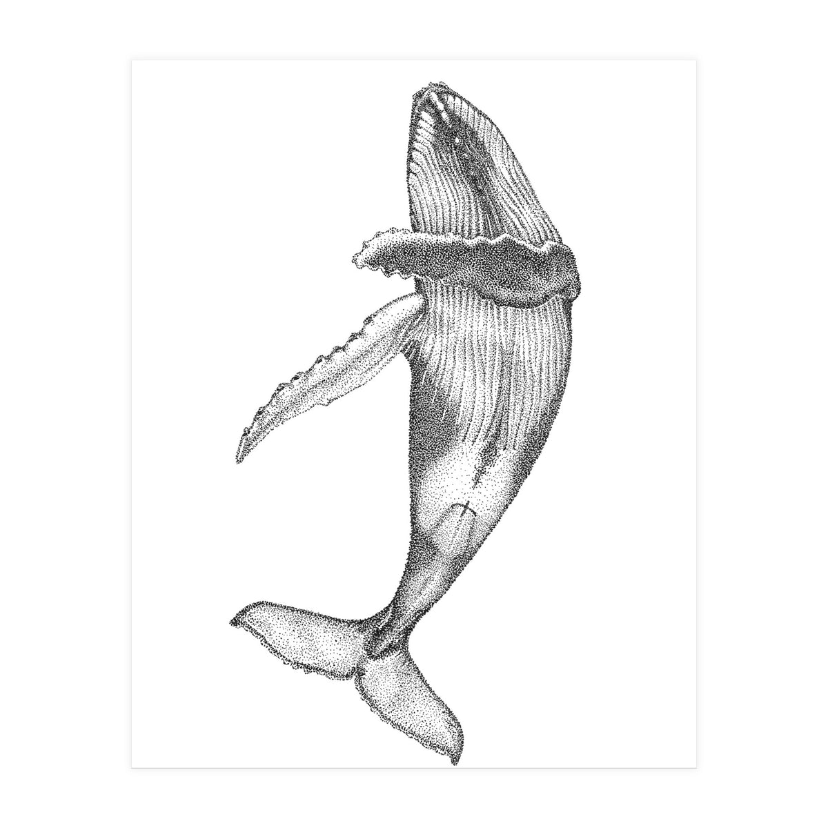 Humpacks no. 2 (Print Only)