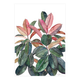 Rubber Plant (Print Only) thumbnail