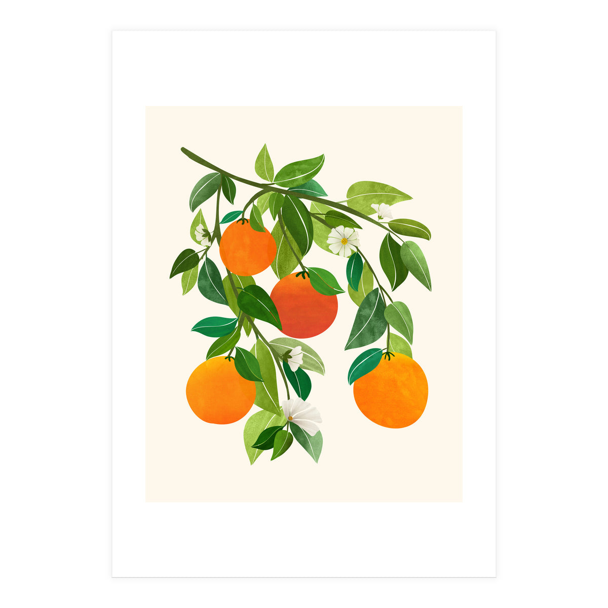 Oranges and Blossoms II (Print Only)