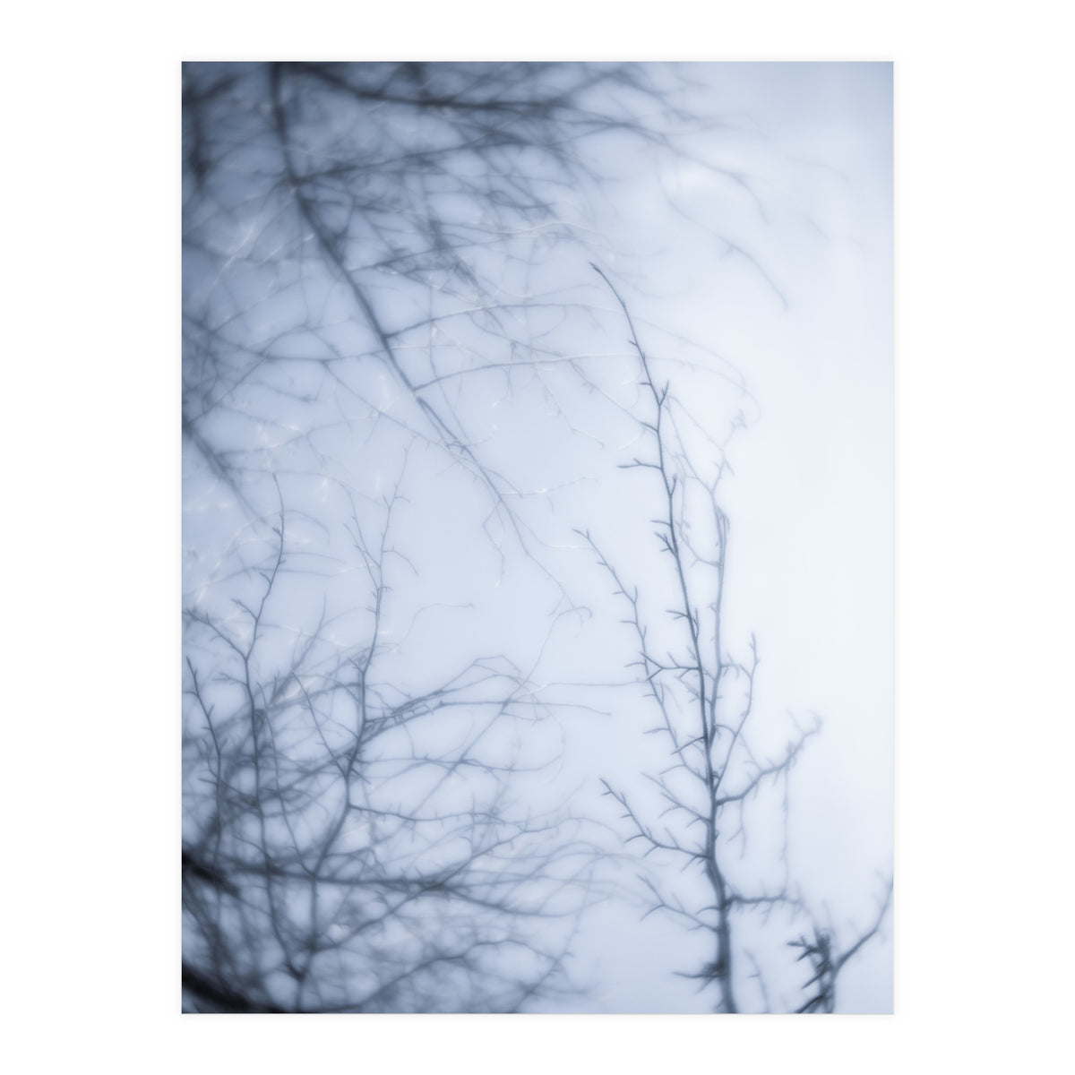 Forgotten Memories of Summer #21 (Print Only)