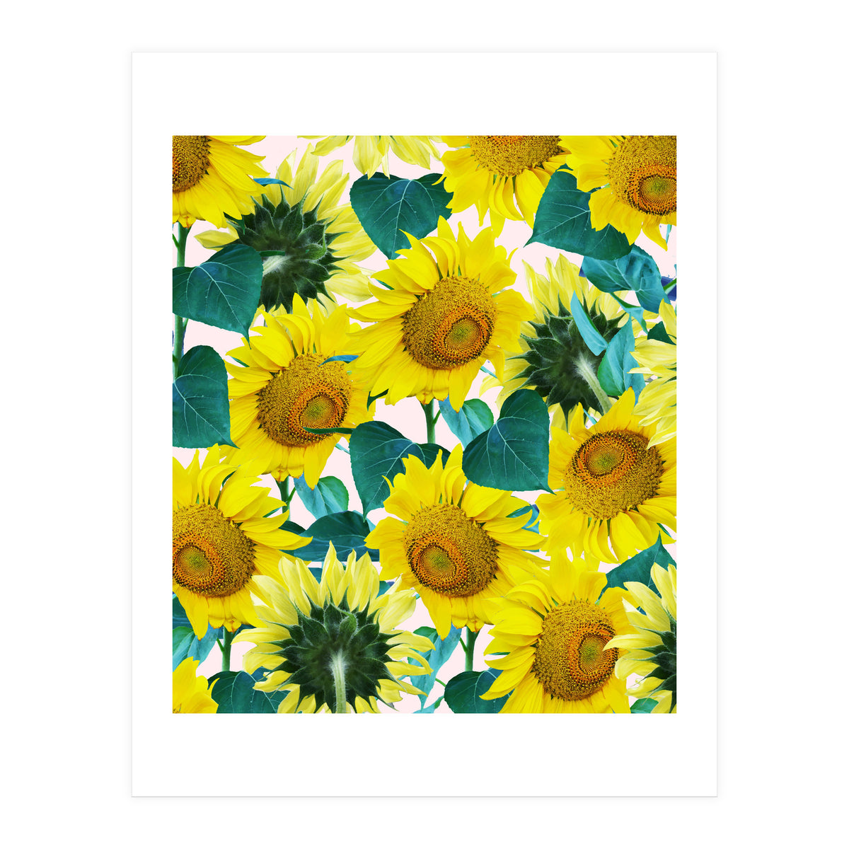 Sunflower (Print Only)
