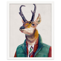 Pronghorn Deer