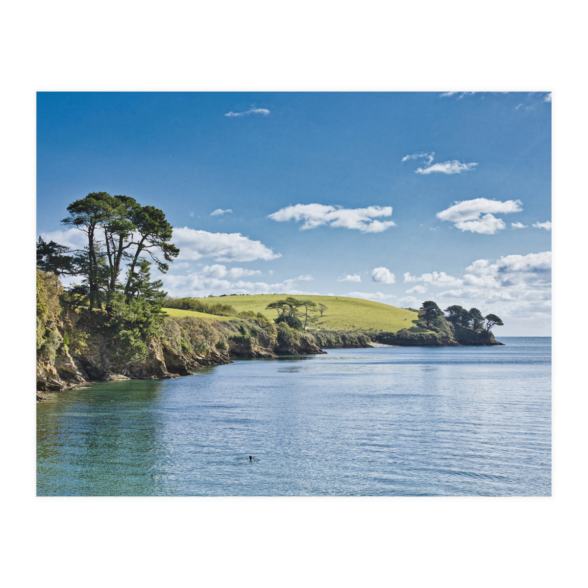 Estuary (Print Only)