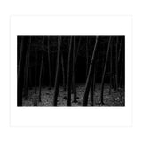 silent woods (Print Only) thumbnail