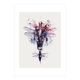 Metamorphose (Print Only) thumbnail