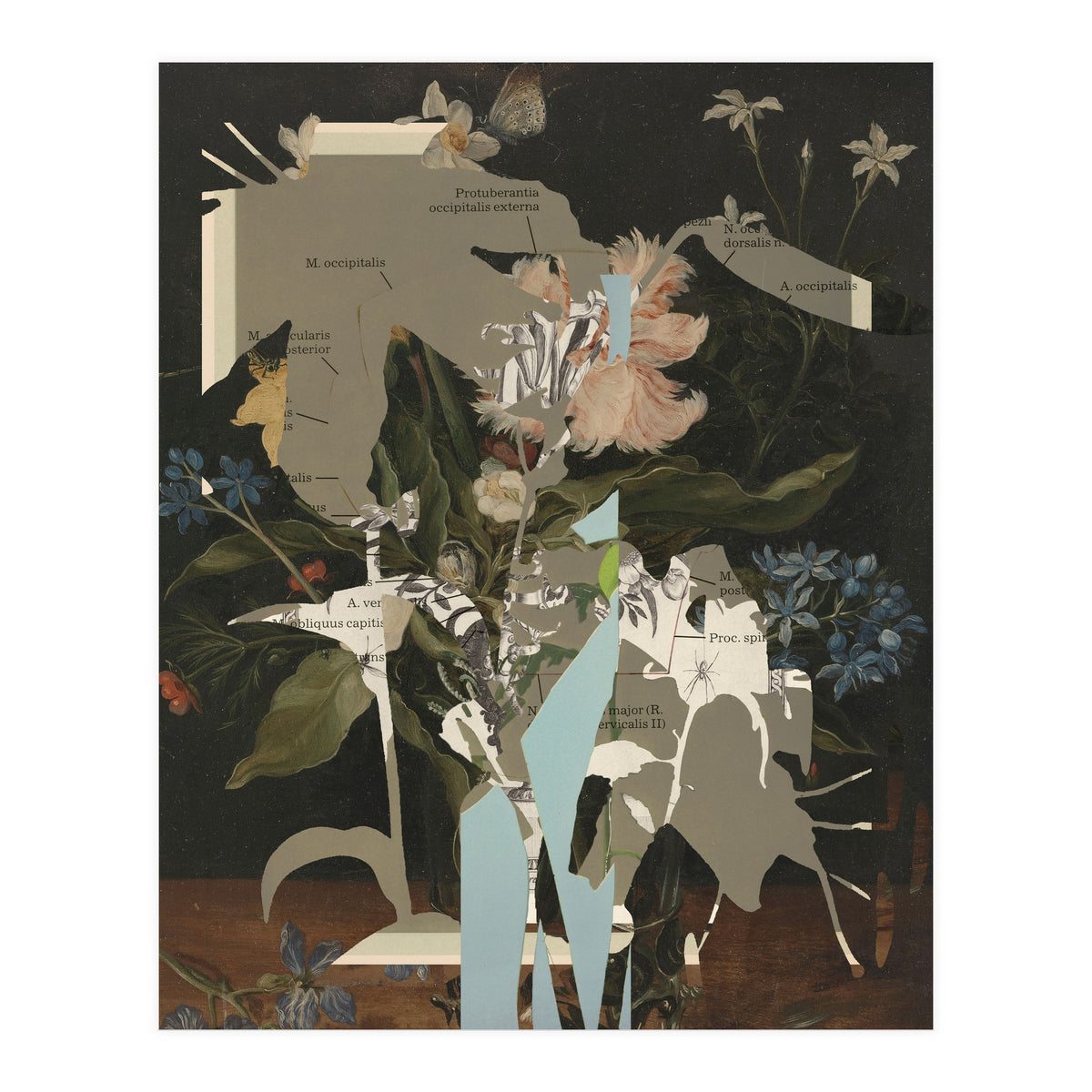 The First Plant · D2 (Print Only)