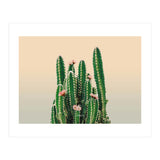 Flowered Cactus (Print Only) thumbnail