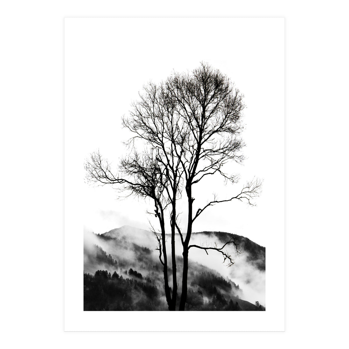 Rocky Mountains (Print Only)