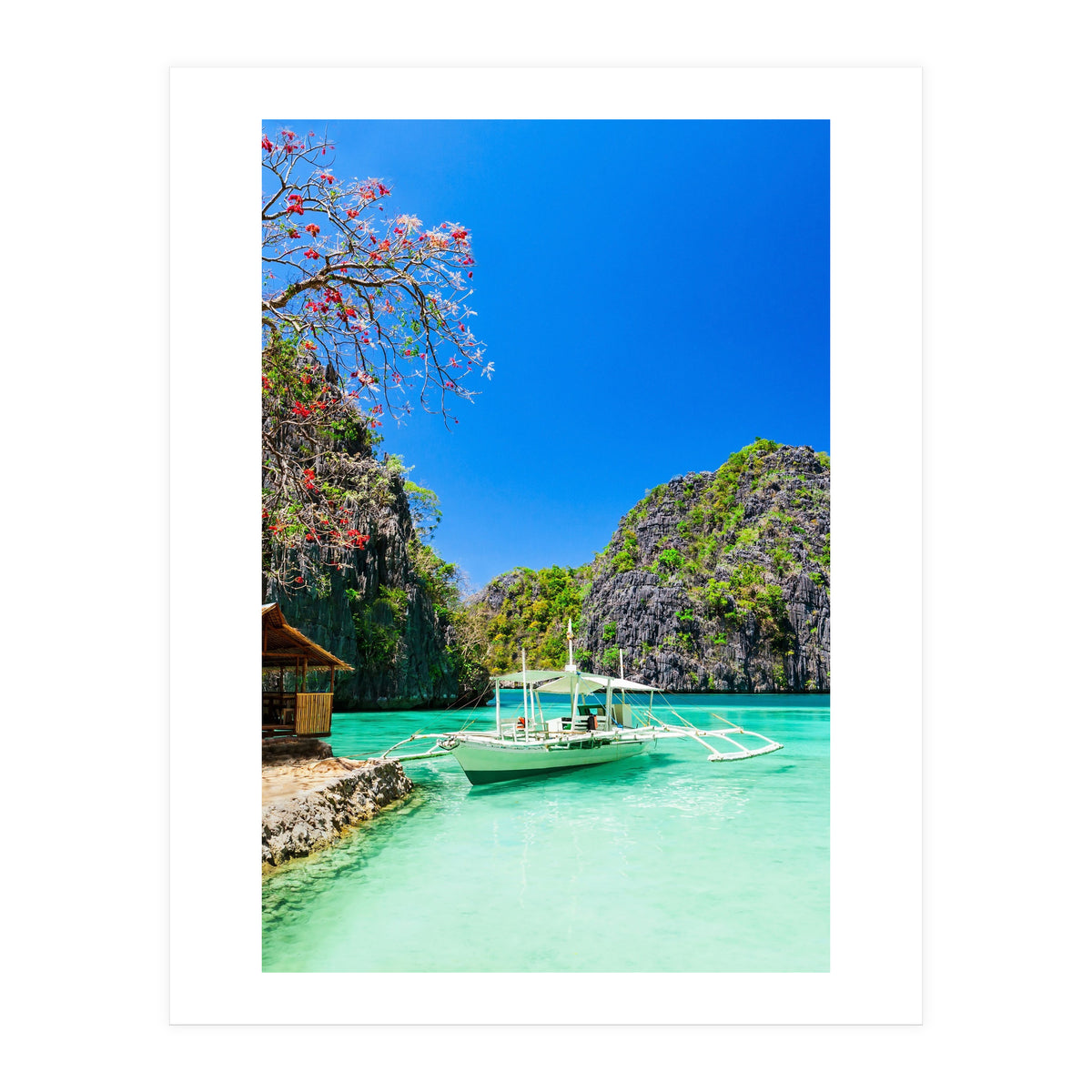 Nature (Print Only)