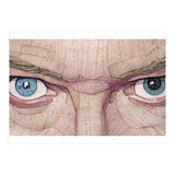 David Bowie Eyes (Print Only) thumbnail