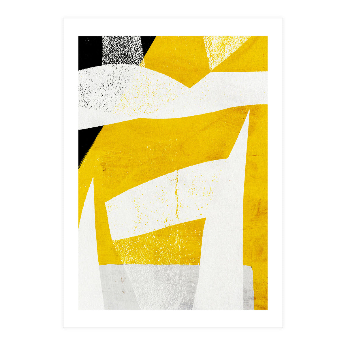 Coiote 3 (Print Only)