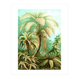 Vintage Tropical | Jungle Botanical Nature Banana Tree | Bohemian Plants Trees Forest (Print Only) thumbnail