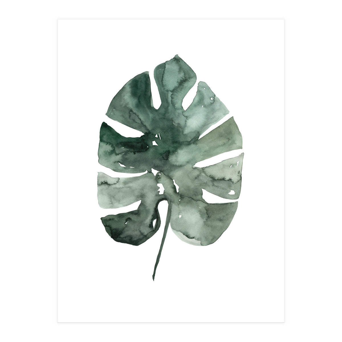 Botanical Illustration Monstera Leaf (Print Only)