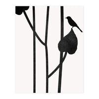 The Bird Noir (Print Only)