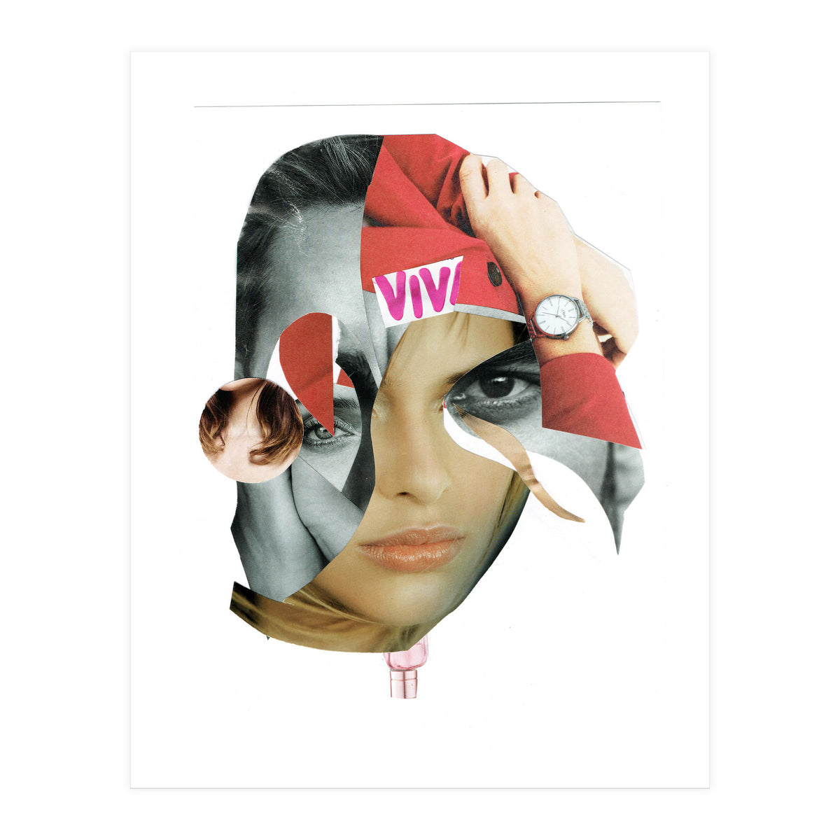 Another Portrait Disaster X (Print Only)