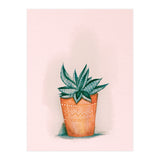 Aloe in orange pot (Print Only) thumbnail
