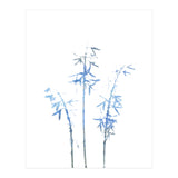 Blue Hosta (Print Only) thumbnail