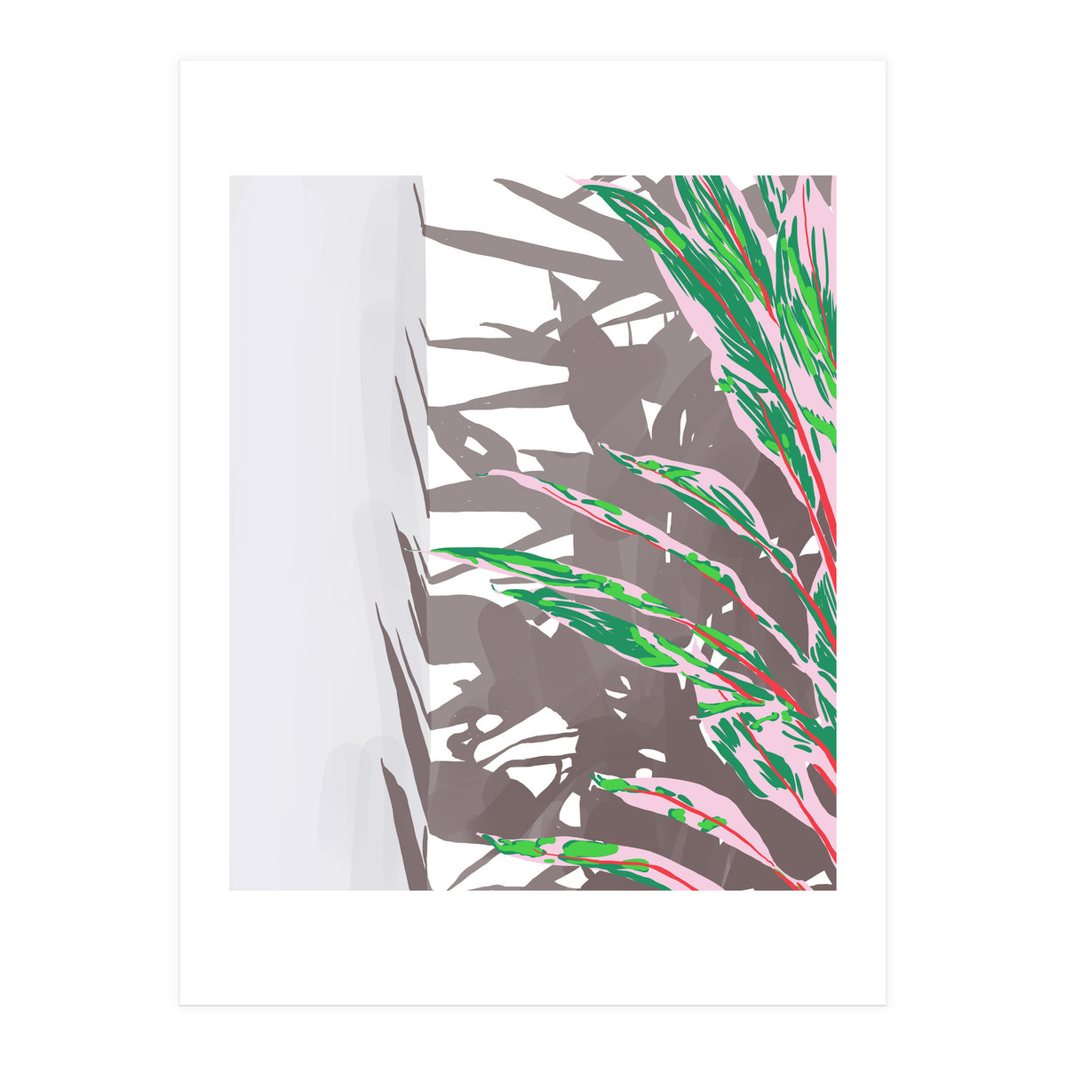 Plant & Shadow (Print Only)