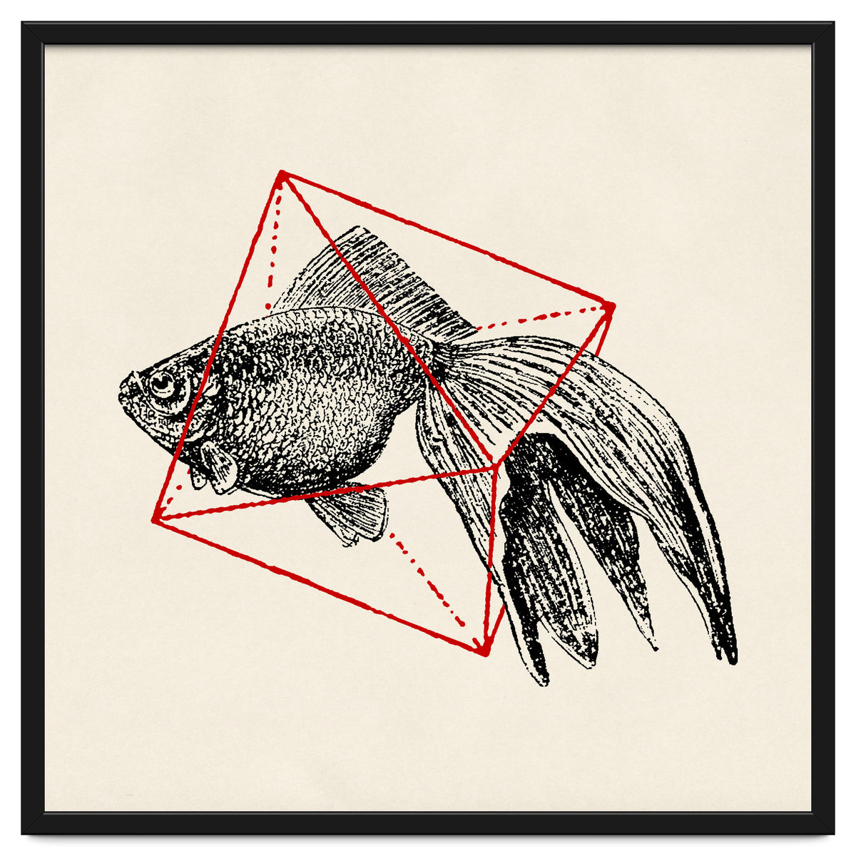 Fish In Geometrics III (Square)