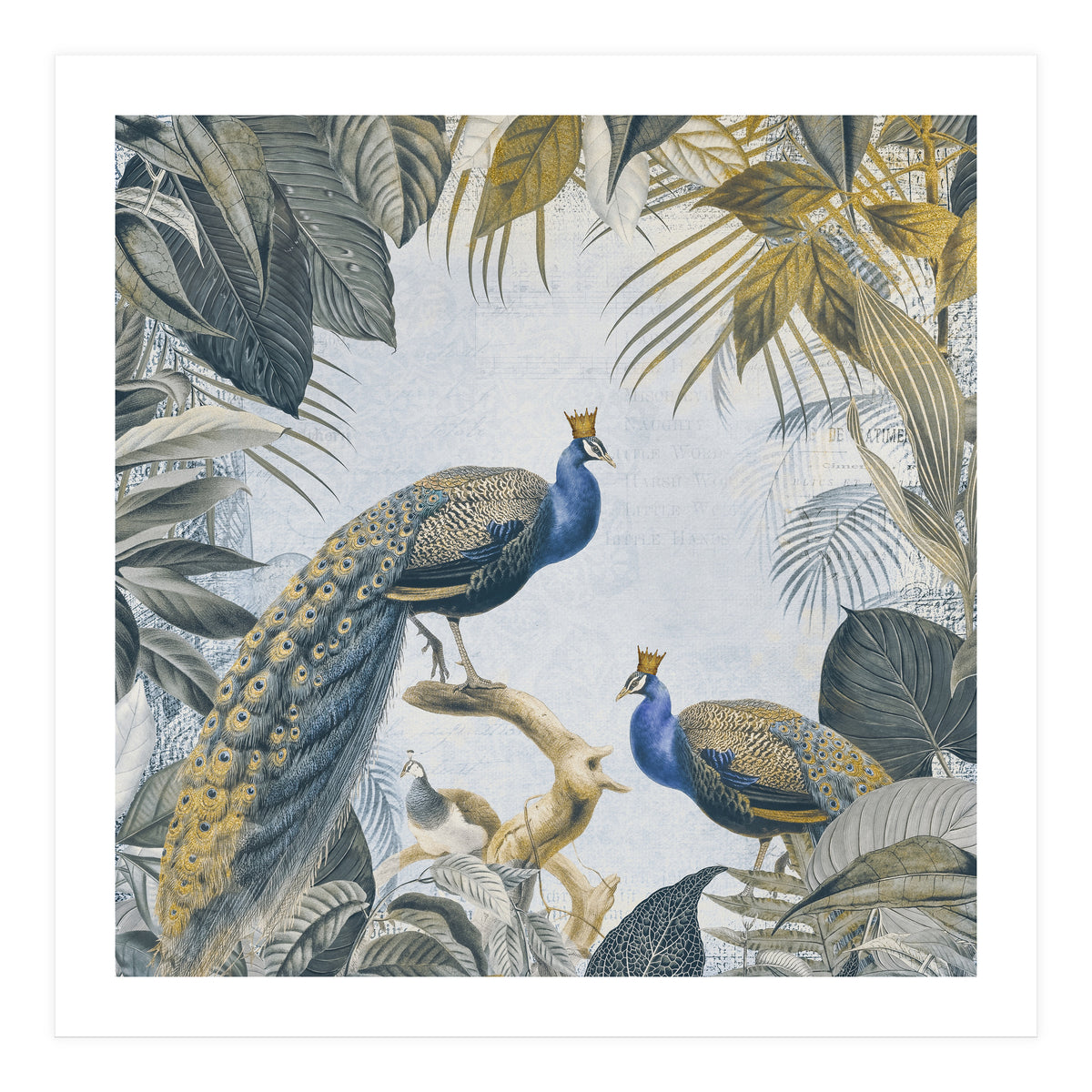 Fantastic Peacock Kings Gold Look (Print Only)