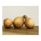 Onions (Print Only) thumbnail