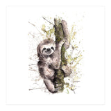 Sloth - Wildlife Collection (Print Only) thumbnail