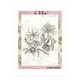Cactus (Print Only) thumbnail