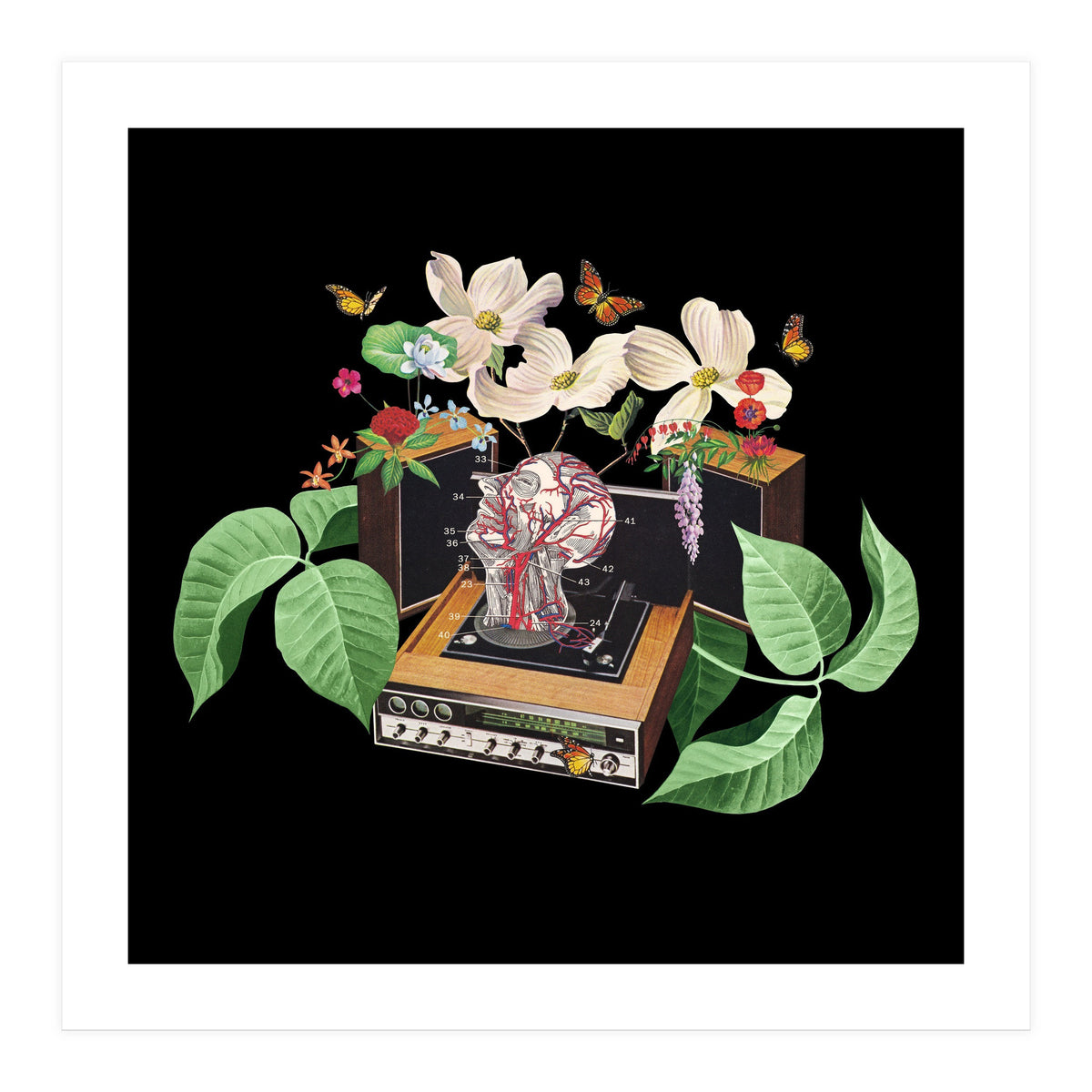 Where Is My Mind (Print Only)