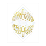 Polillas - Gold (Print Only) thumbnail