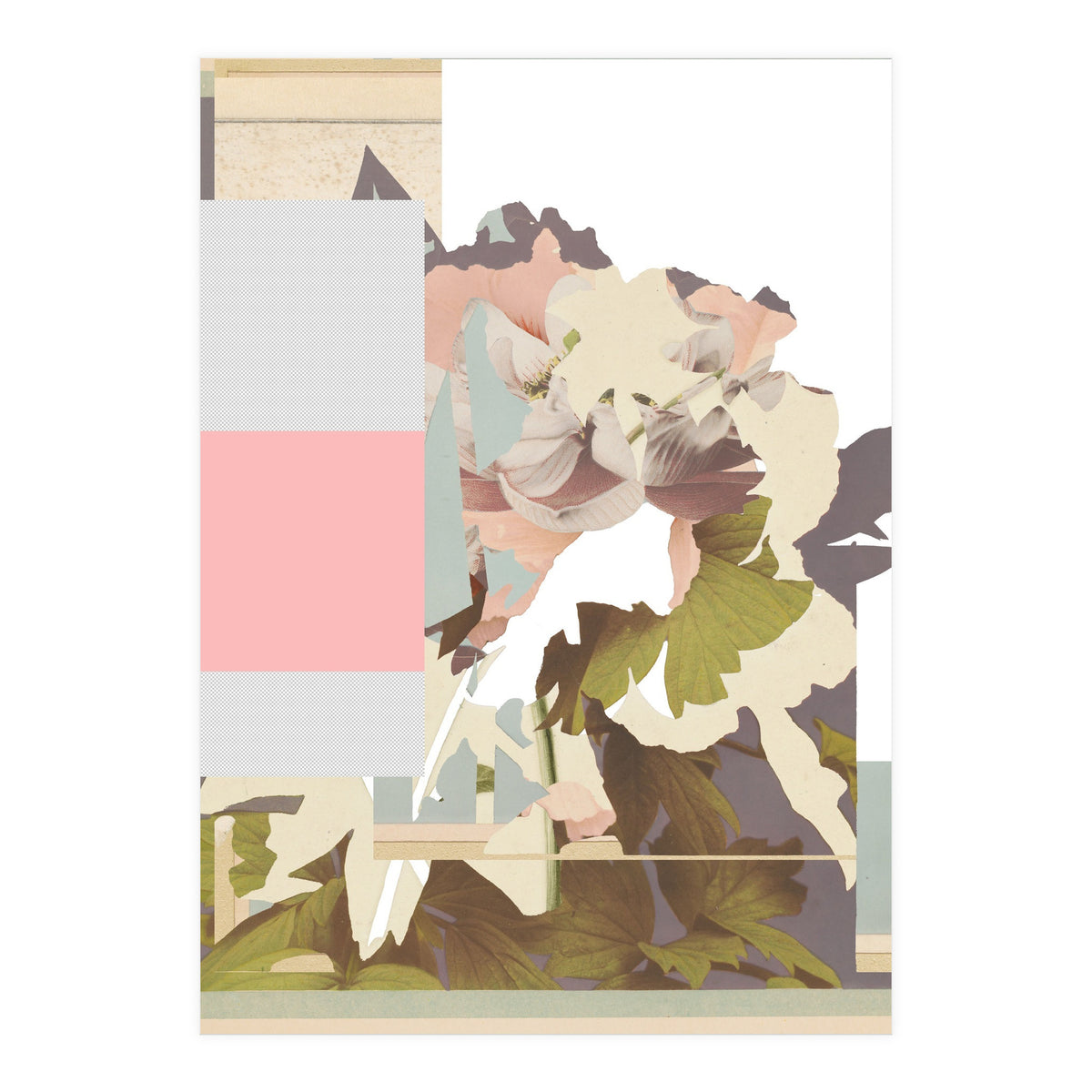 The First Plant · F (Print Only)