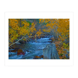 Nature (Print Only) thumbnail