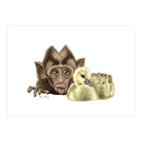 Monkey and Duckling (Print Only)